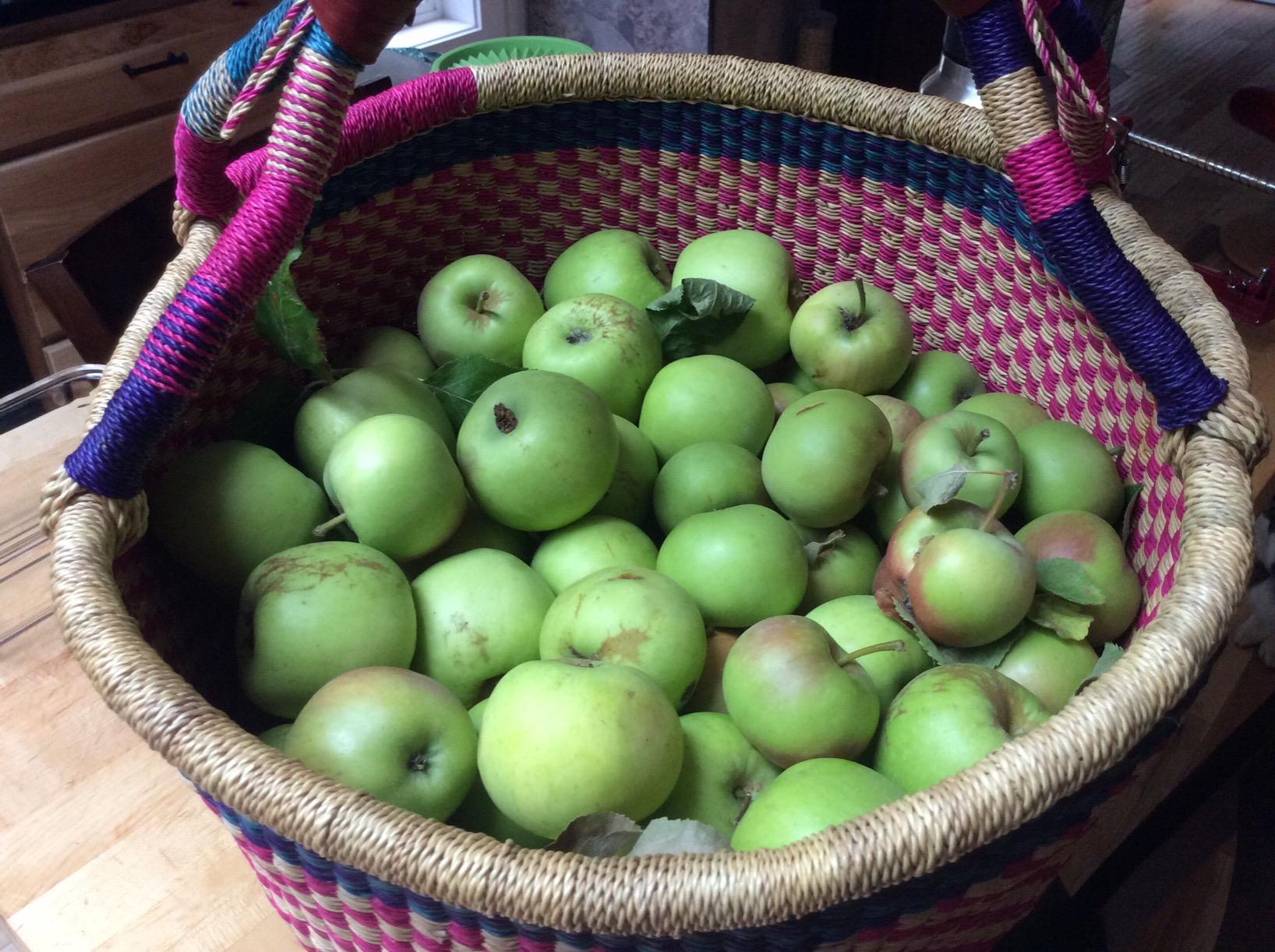 Bolga Baskets International Extra Large Market Basket w