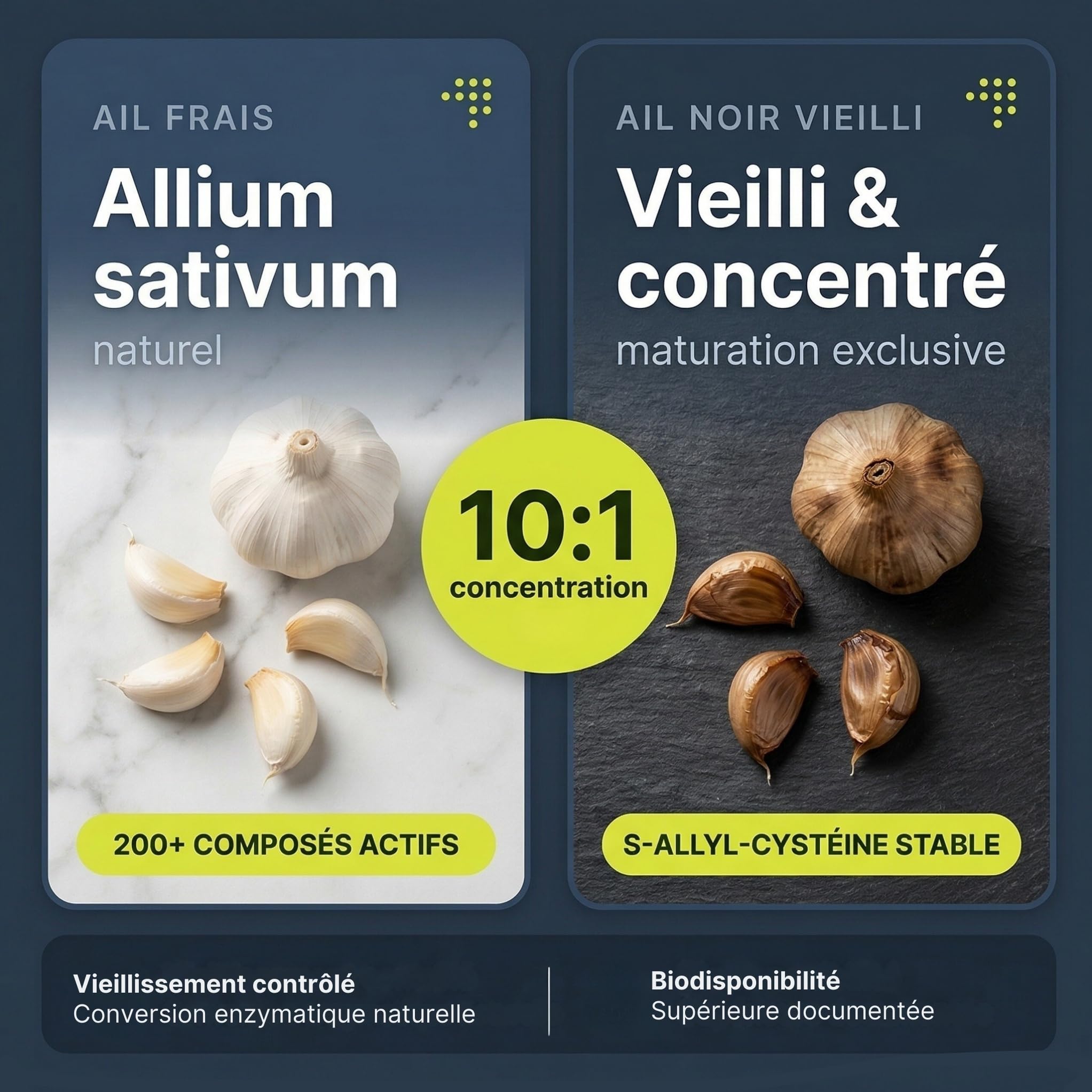 Ail Noir Fermenté 10x Concentré | Extrait d'Ail Noir Vieilli – Standardisé en S-allyl-cystéine | Cœur & Cholestérol | Sans Arrière-Goût | 80 Gélules Vegan | Essence Pure Api-Nature