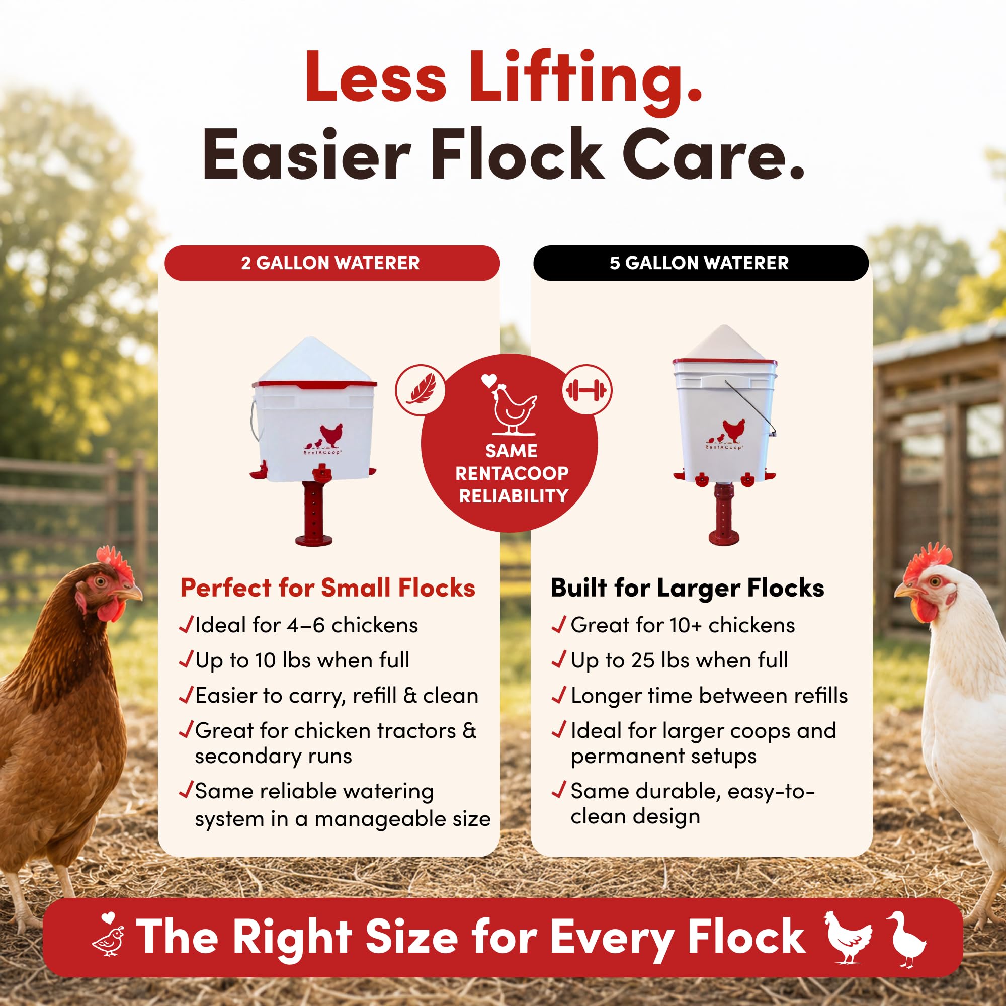 Amazon.com: RentACoop: Poultry Feeders & Waterers