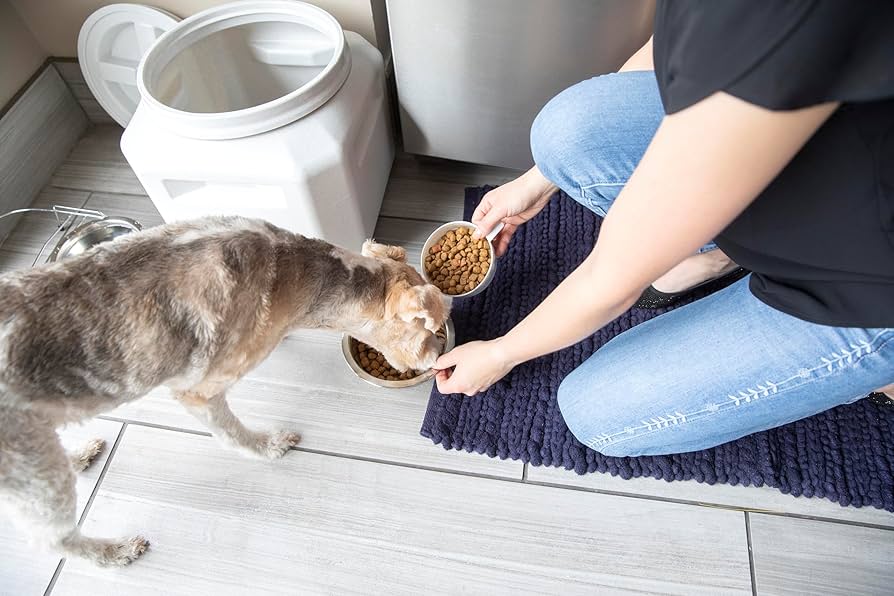 Amazon | オーエフティー ドライフードストッカー 13.5kg フード