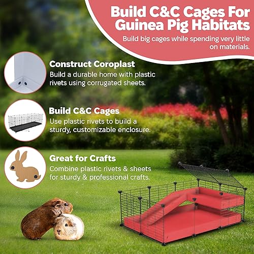 Miniatura 5 de Remaches de trinquete de plástico  0.73 pulgadas x 0.41 pulgadas (0.736 in x 0.413 in)  Construct Coroplast cobaya o hábitats de erizo para jaulas C