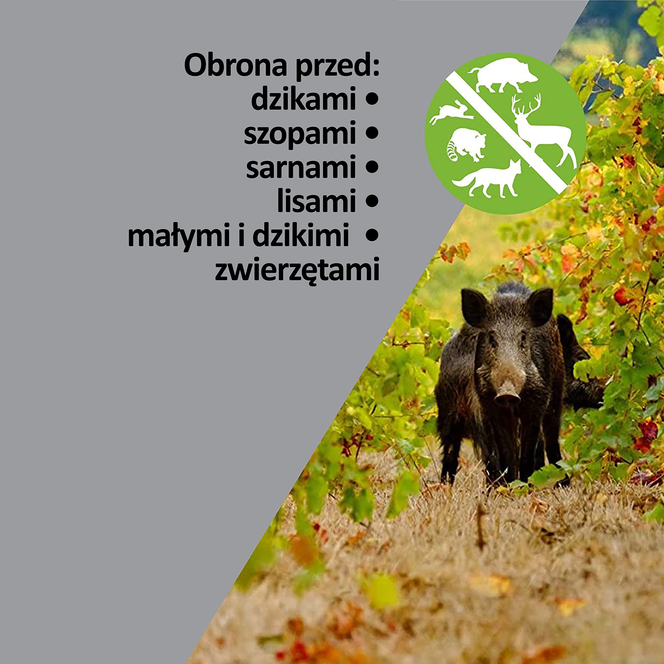 ISOTRONIC Solarny odstraszacz szopów, jeleni i lisów – Niebieskie światło LED – Skuteczna ochrona przed dziką zwierzyną – Zasięg 40 m² (6 sztuki)