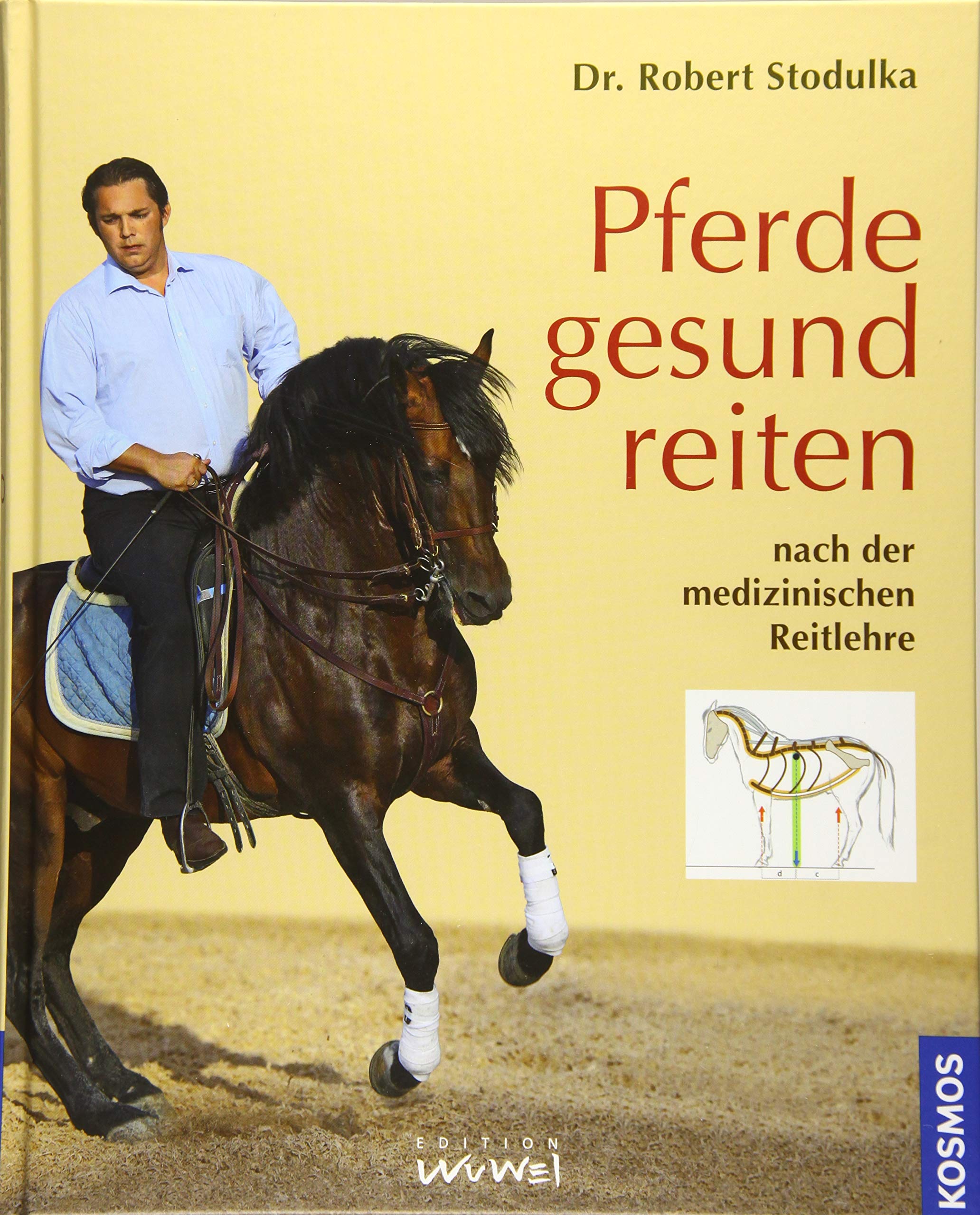 Pferde gesund reiten: nach der medizinischen Reitlehre