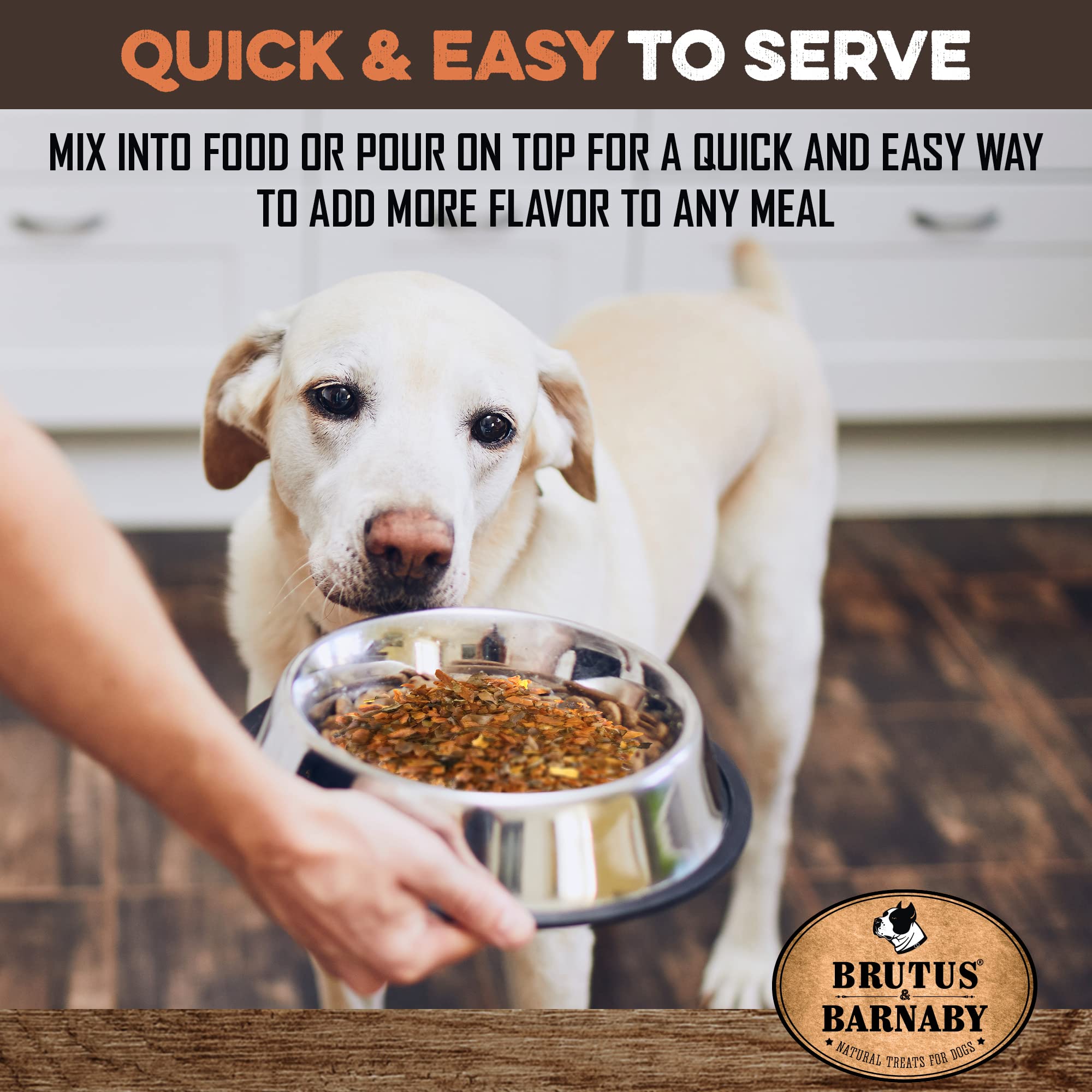 How Do You Feed A Picky Puppy