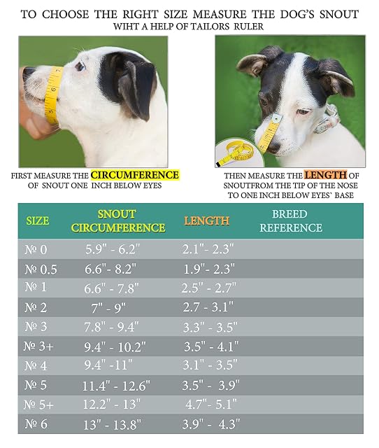 Foto 3 de 8 de Bozales de Metal Cromado para Perros, Correas de Cuero Ajustables (№0) La Circunferencia es de 15-15,7 cm