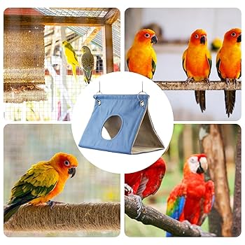 Amazon.co.jp: 鳥用ハンモック 鳥用テント、快適な鳥用ベッド