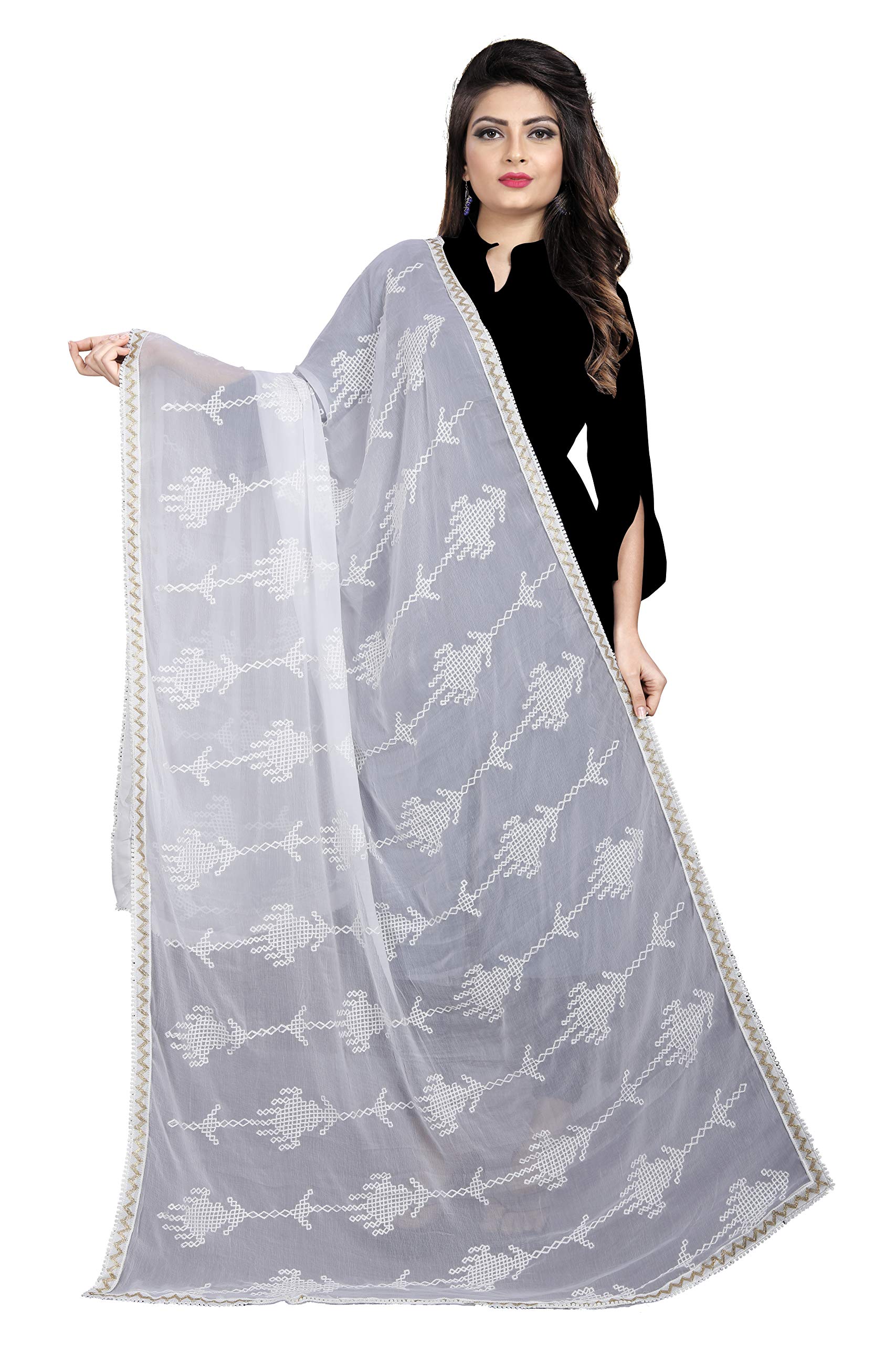 AKSHAR LLC Women's Designer Pure Chiffon Dupatta with Pure Cotton Thread Embroidery Work