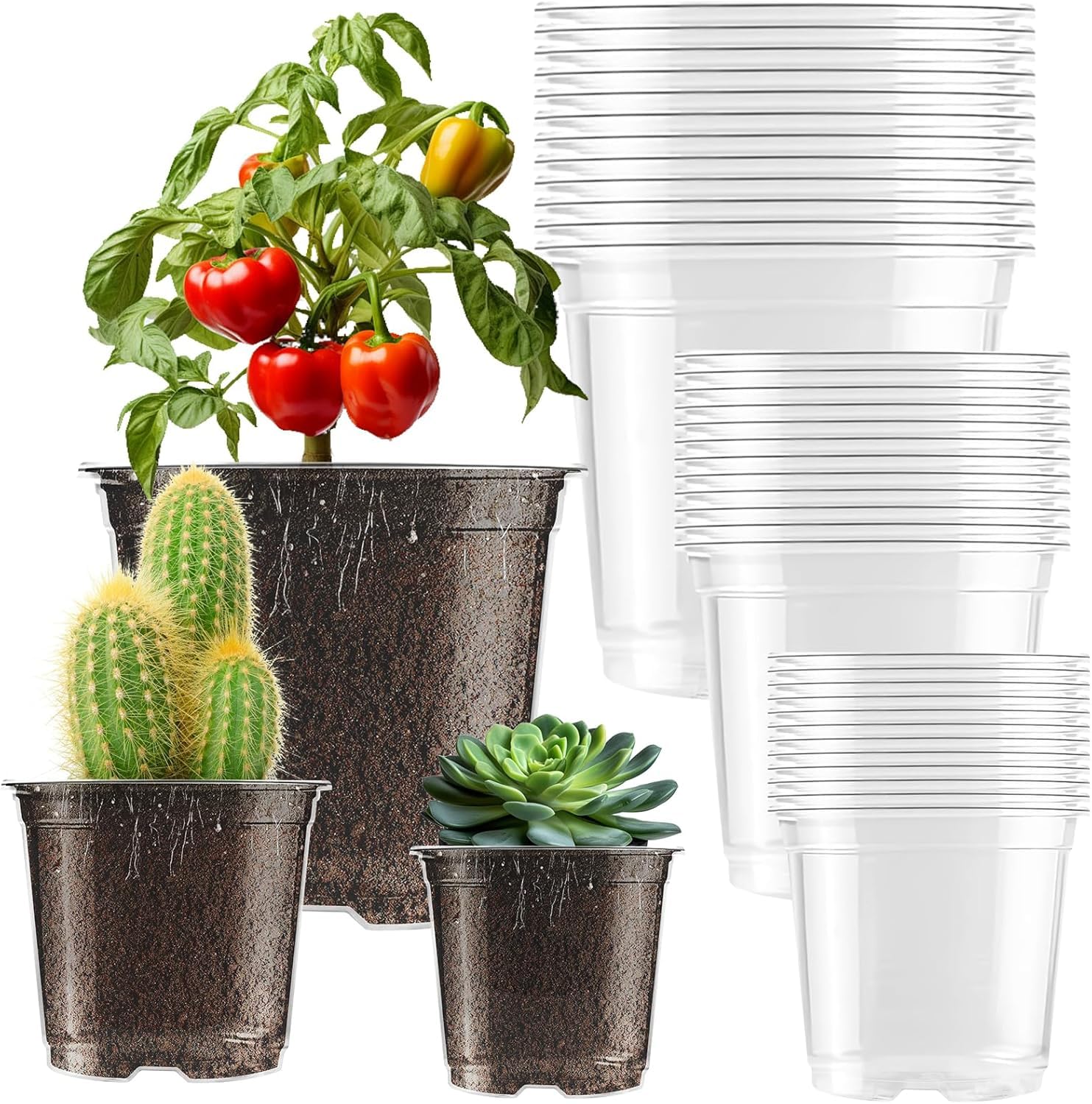 auriikoop Anzuchttöpfe, Blumentöpfe 9/10/13cm Pflanztopf Durchsichtig Anzucht Untertopf Orchideentopf Transparent, Anzuchttopf Plastik für Orchideen Sukkulenten Kaktus Setzlinge