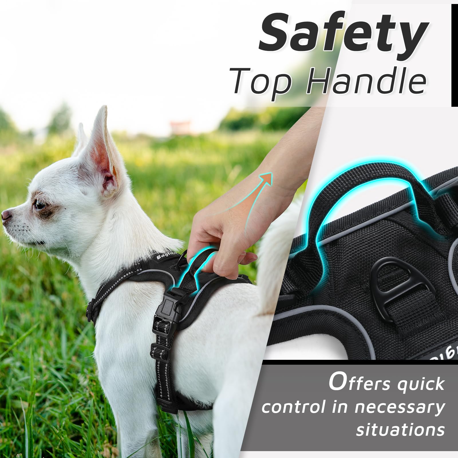 Eagloo Pettorina Cane Anti-Tiro Taglia L - Imbracatura Regolabile Con Doppio Gancio - Foto 4