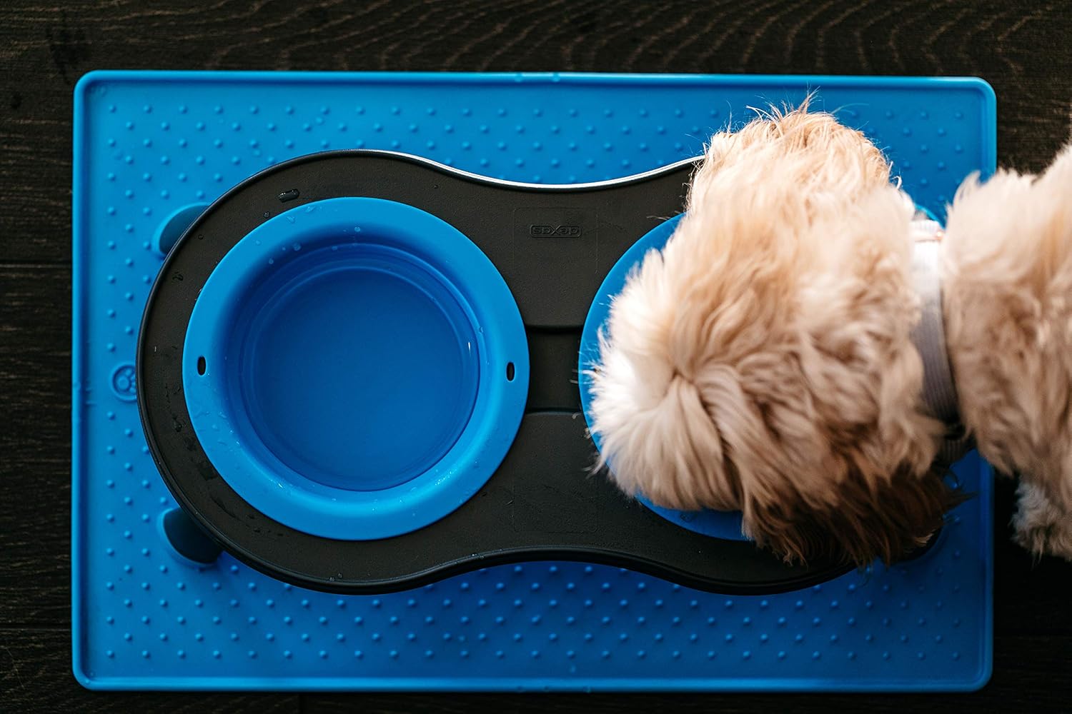 Small Blue Elevated Pet Feeder with Collapsible Bowls