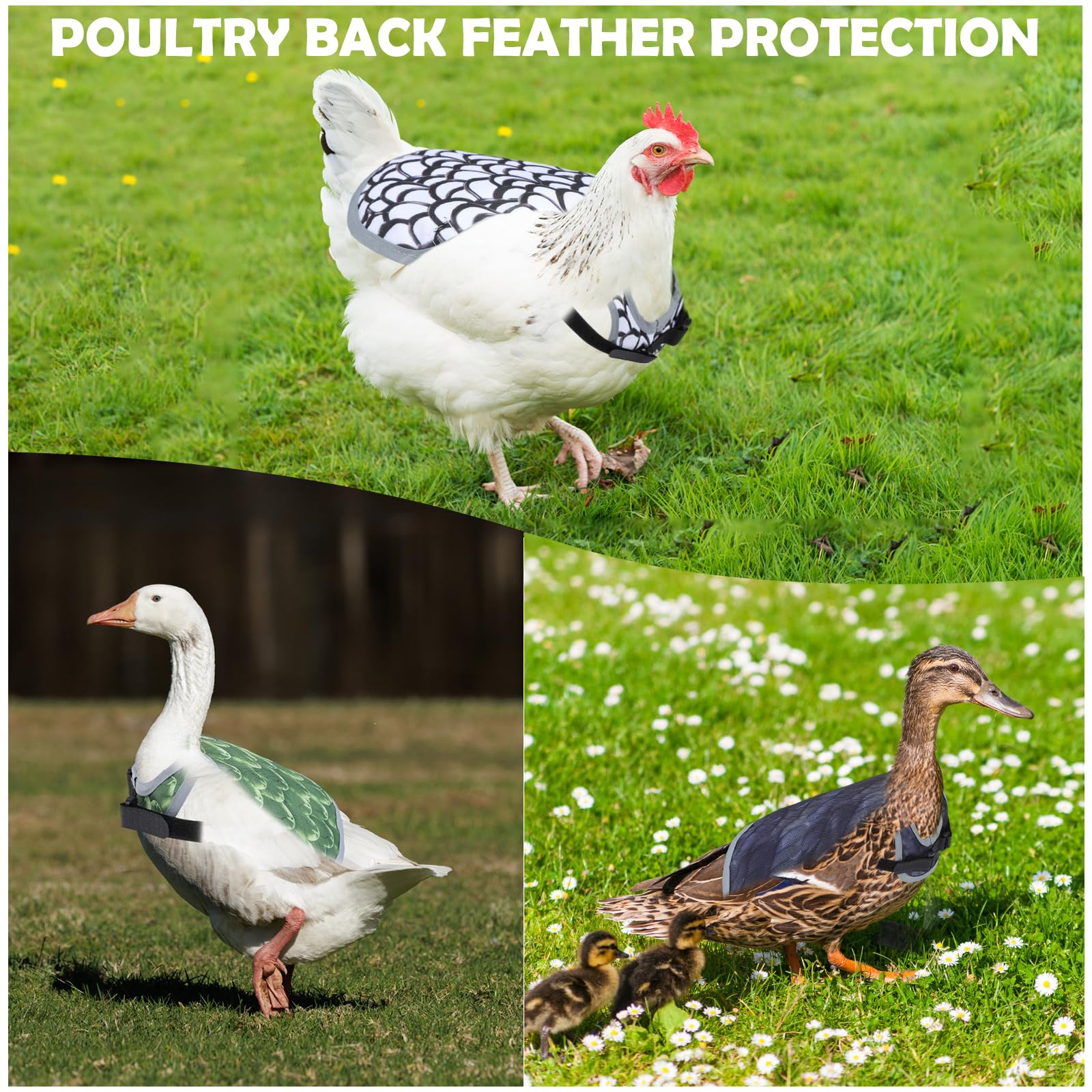 Chicken Saddle for Hens, Laelr 4 PCS Chicken Apron Back Protector for Hens, Waterproof Hen Saddle Chicken Vest with Adjustable Straps for Poultry Back Feather Protection, Easy to Wear — view 7