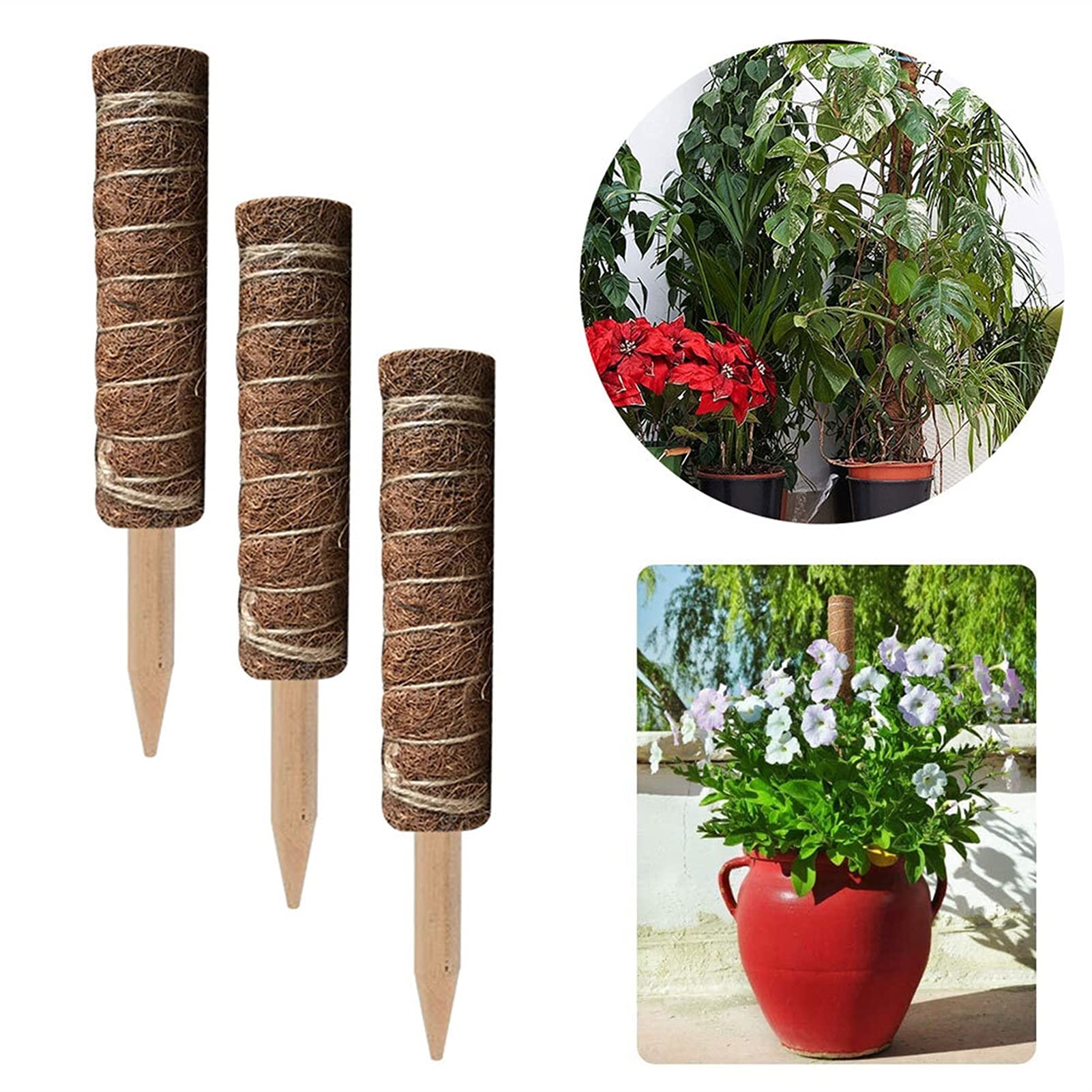 Saturey Tuteur Plante 2pack Pole Support TRULIS PIETEUR DE Plante D'ÉLIMINATION Moss ROYANCE Fibre Coconut Fibre Maison Jardinage Cadre de Balcon Support pour Plantes De Jardin (Size : 35cm)