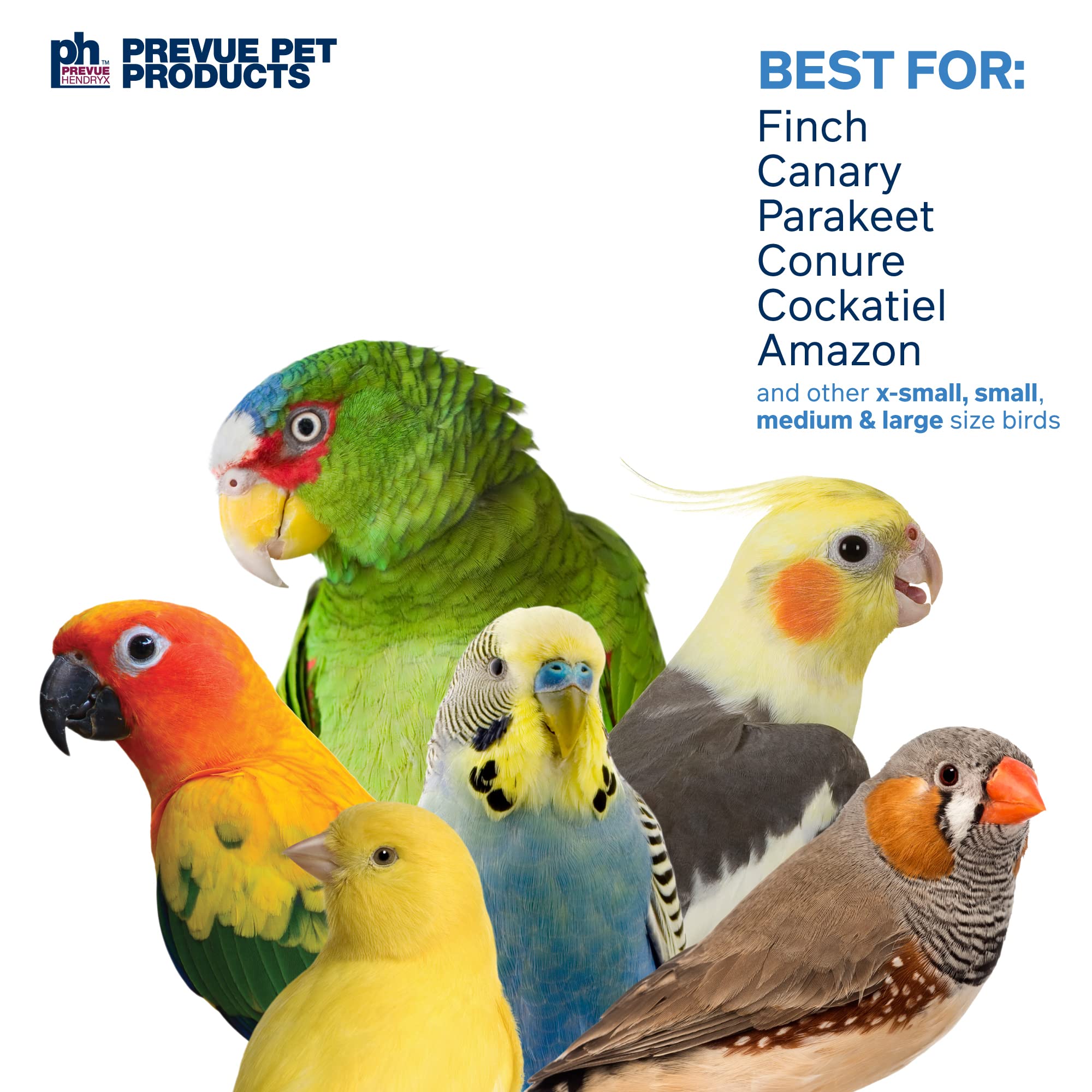 Prevue Pet Products 62605 Calypso Creations zabawka dla ptaków z krótkim stosem