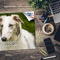 Vista 771 de Razas de Perros 2017