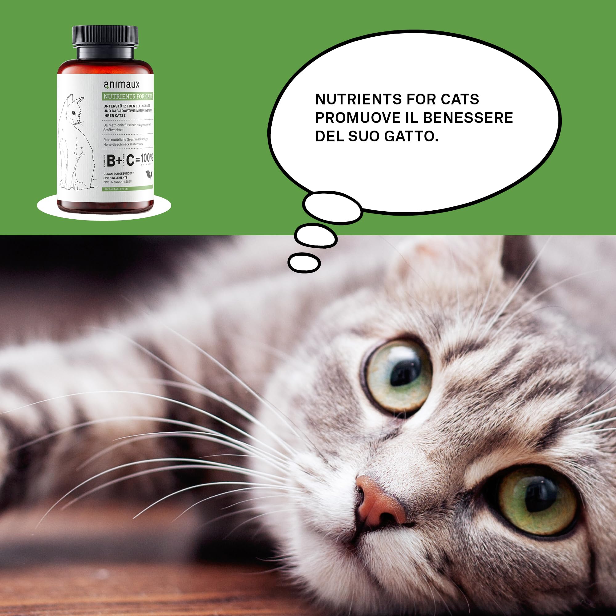 animaux Nutrients for Cats - Trattamento per gatti il metabolismo, il sistema immunitario, la pelle e il pelo - 120 compresse masticabili - con complesso vitaminico B, omega 3,zinco e altro ancora