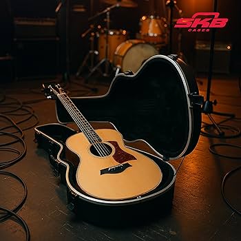 ⚠️値下げ中]Taylor GS Mini (ケース・KORGチューナー付き) Case for