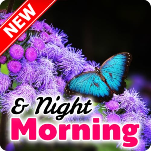 Good Day Morning & Night Greeting Card
