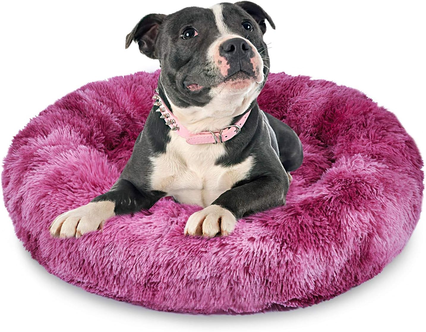 AIPERRO Dog Bed for Large Medium Small Dogs Machine Washable Rectangle Dog Bed Orthopedic Calming Dog Sofa Bed Soft Sleeping Puppy Dog Beds Breathable Cuddler Pet Bed with Anti-Slip Bottom (23.5 inch)