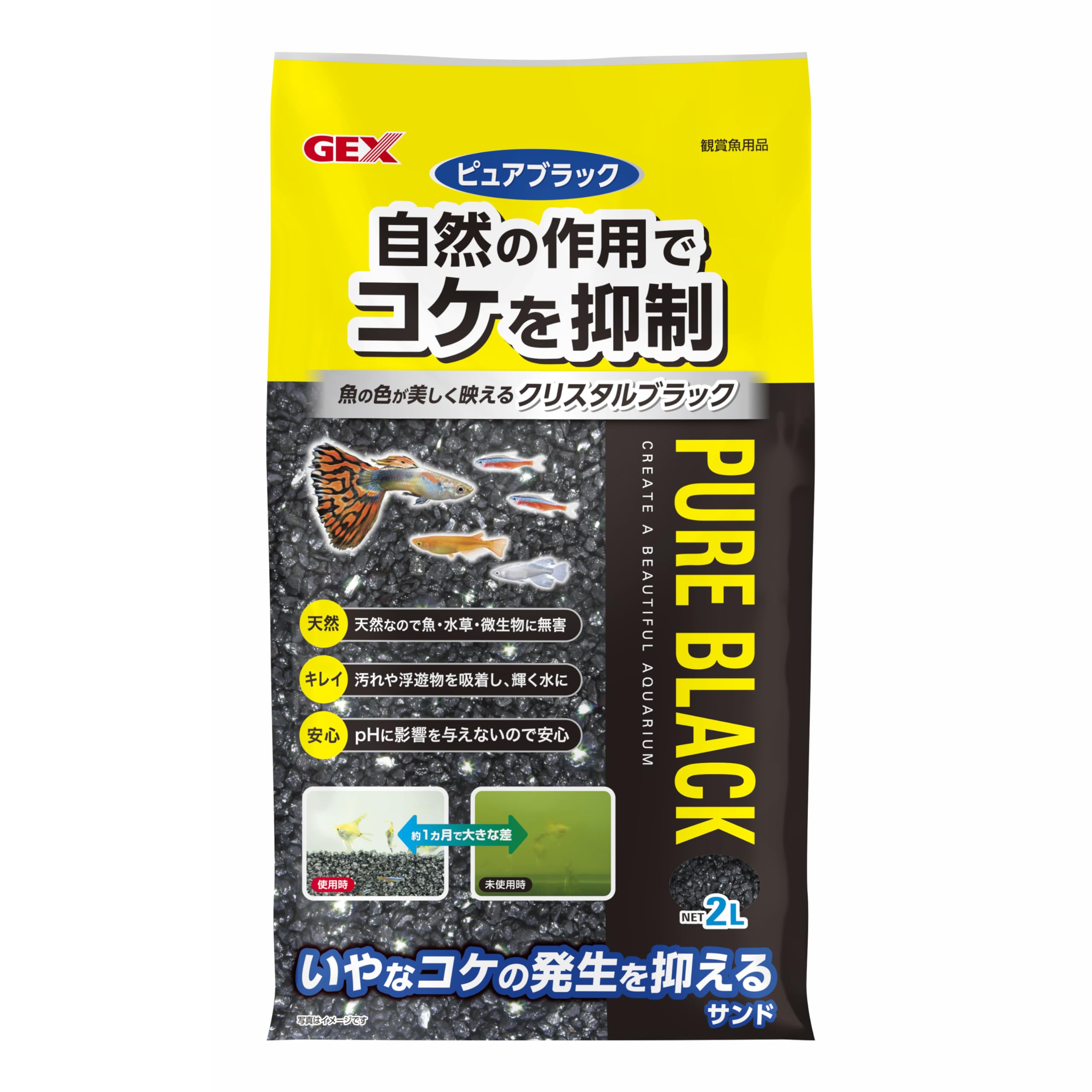 ジェックス ピュアブラック 2L