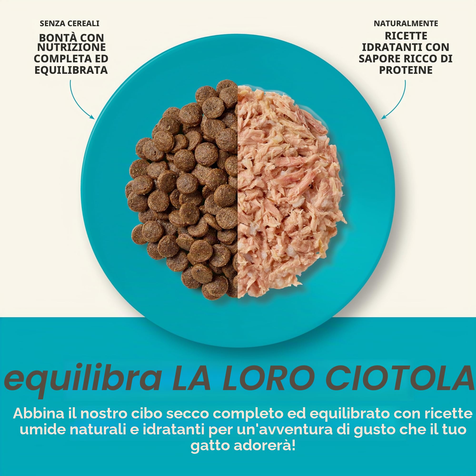 Applaws Alimenti completi per gatti adulti secchi e senza cereali di Applaws, pesce dell'oceano con salmone - sacchetto richiudibile da 1,8 kg
