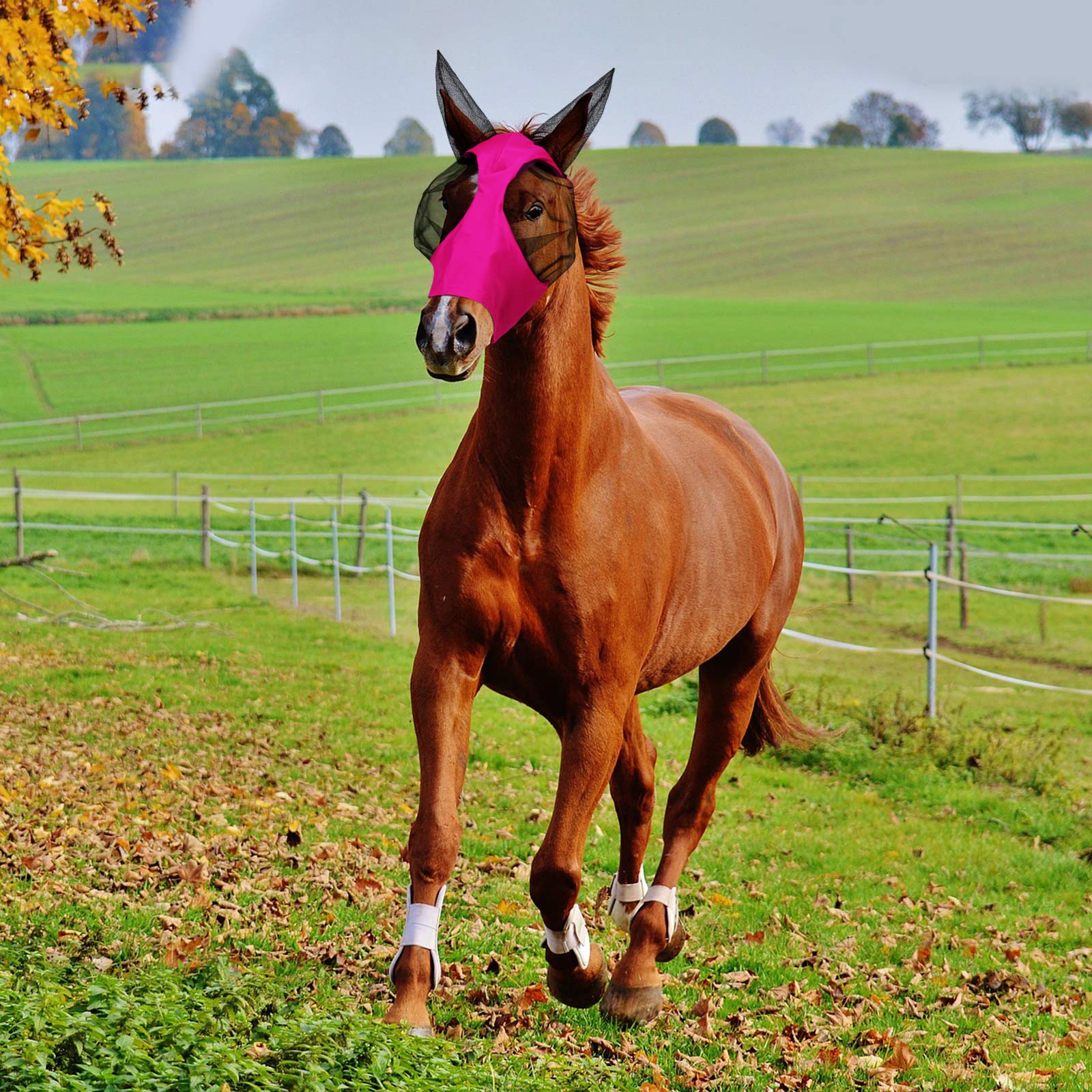 Weewooday 2 Pieces Horse Fly Masks for Horses Horse Mask with Ears Smooth and Elasticity Fly Mask with UV Protection(Purple, Pink,L) 2