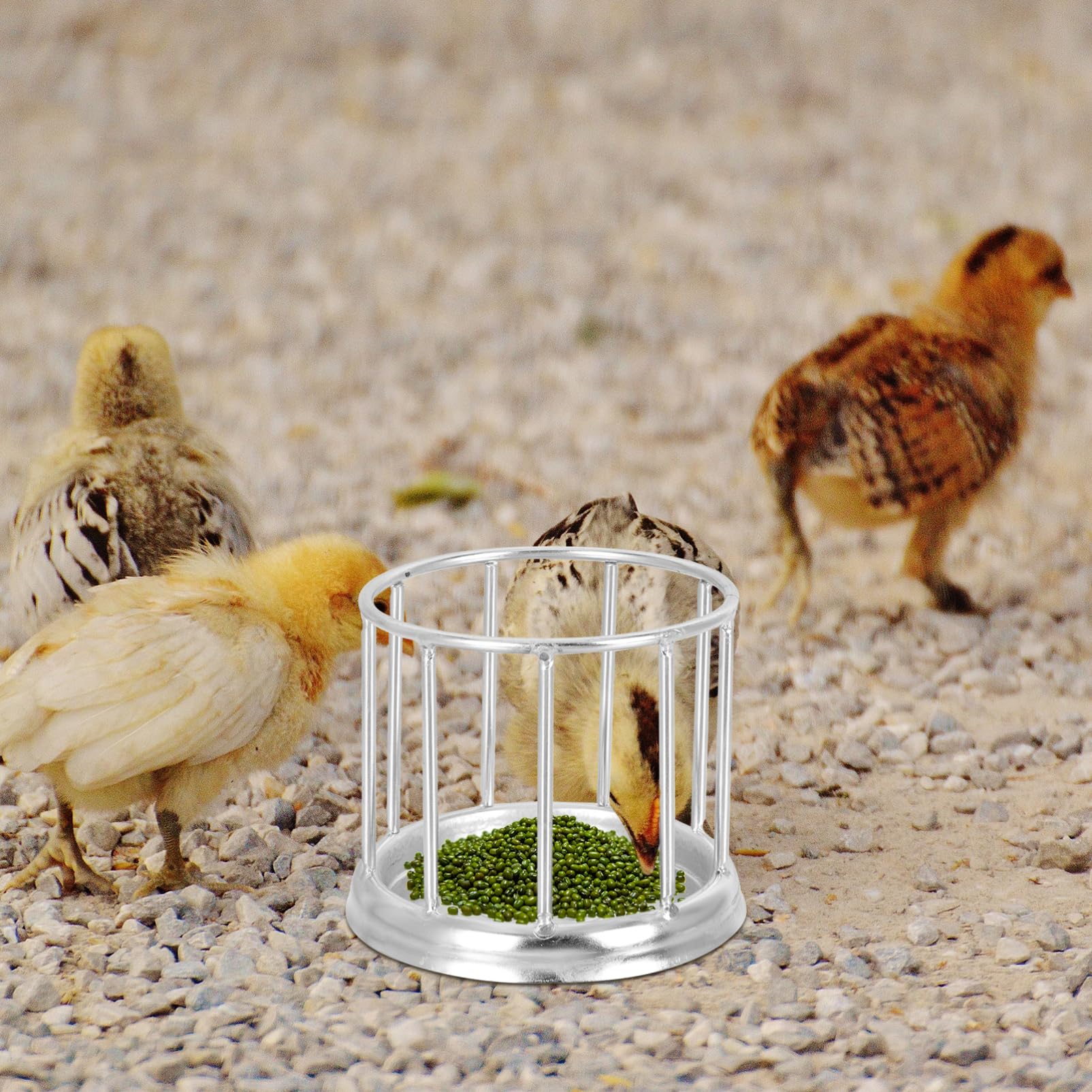Kisangel 3piezas Comedero Inoxidable para Reptiles y Tortugas Alimentador Automático De Agua y Comida para Gansos y Aves Diseño y