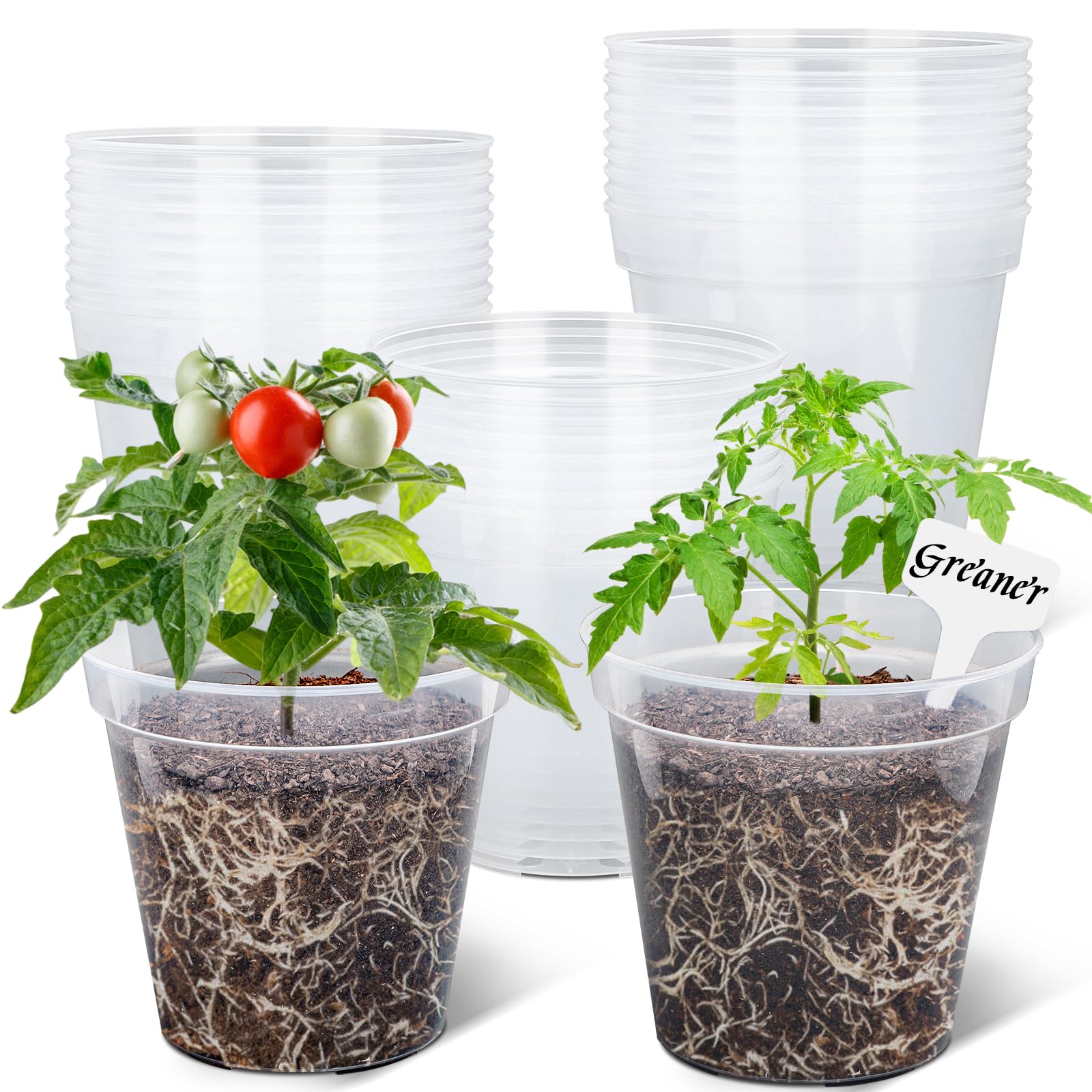 GREANER 7 Inch Transparent Plastic Garden Pots