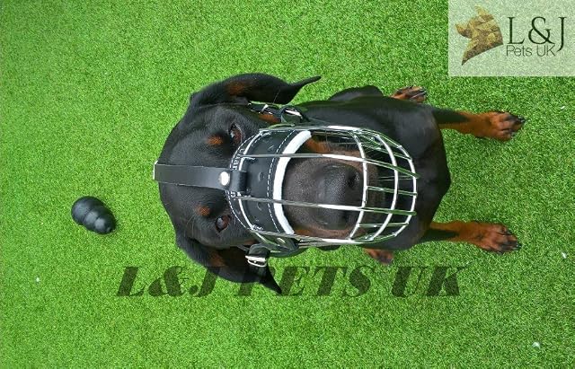 Foto 2 de 3 de Bozal de perro de alambre metálico para Doberman (4d)
