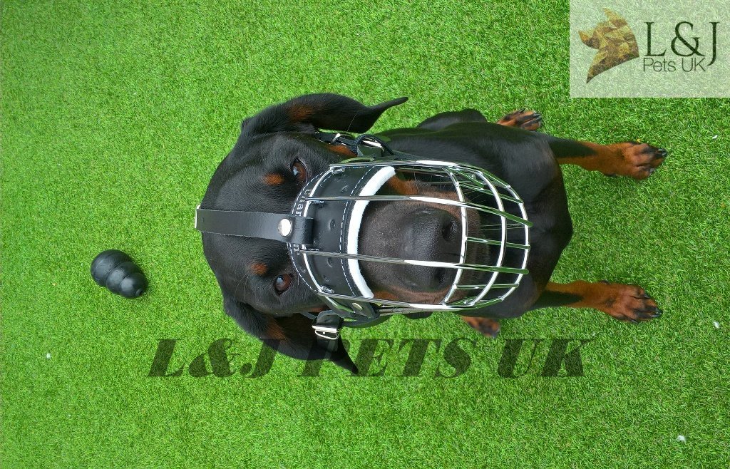 Muselière métal pour chien Champion haute résistance Doberman DB