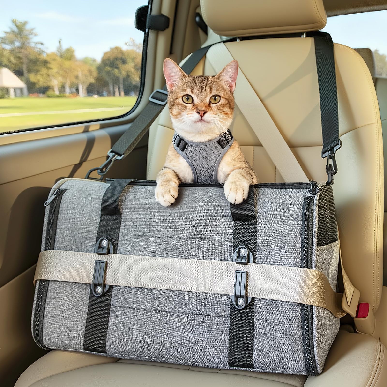 Transportín para gato y perro mediano ideal para viajar seguro en coche