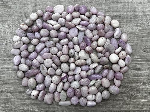 GAF TREASURES Piedras pulidas de kunzita al por mayor, piedra preciosa natural pulida de la kunzita, rocas pulidas kunzita (Kunzita, 0.25 libras)
