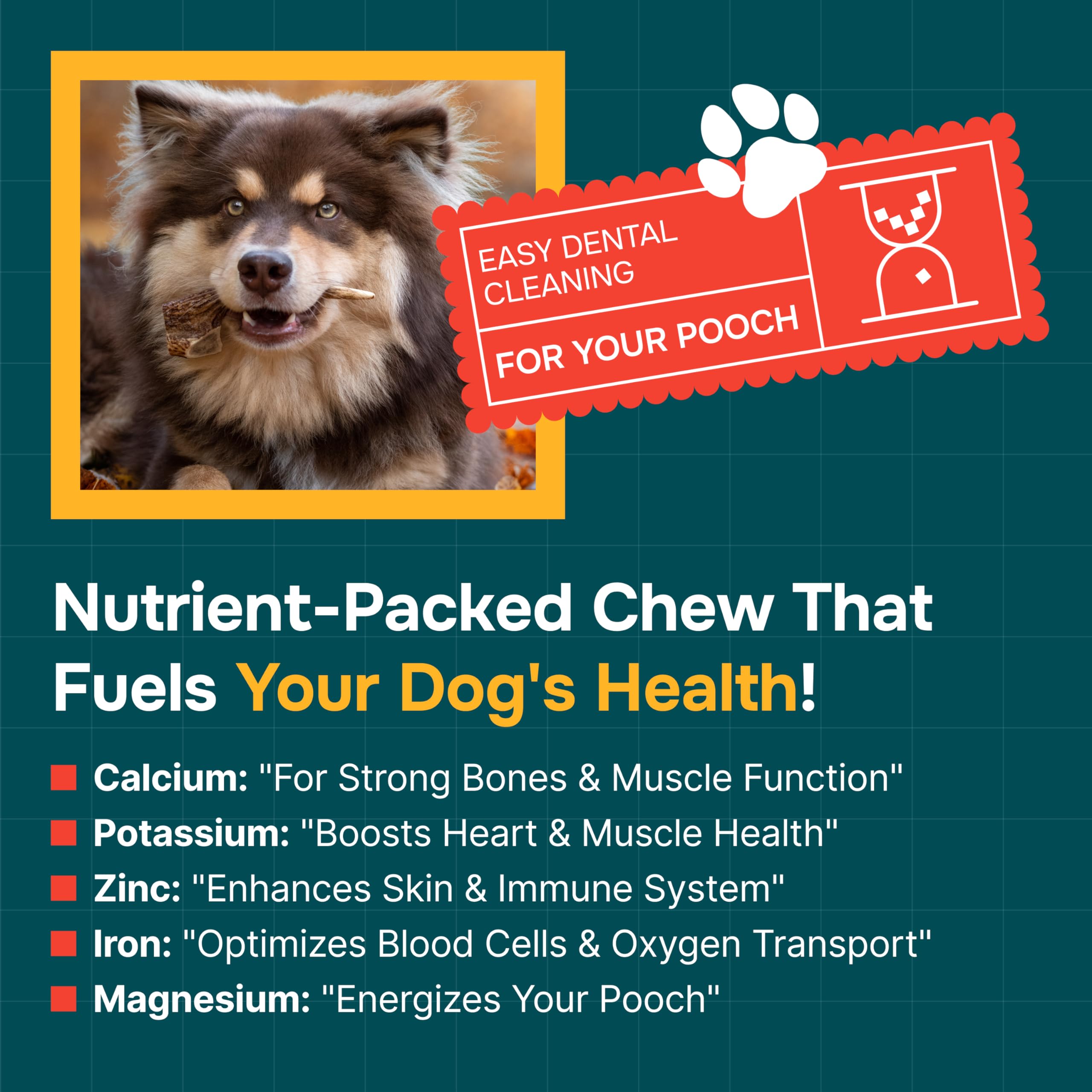 100% Natural - Antlers for Dogs ( Split ) - Naturally Shed in USA - Grade A Long Lasting Chew for Aggressive Chewers - Elk Antlers Dog Antler Chews - Real, Treats & Toys - No Odor & No Mess - Small 1