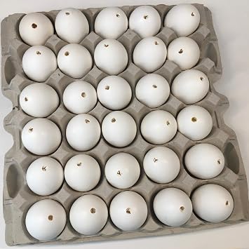 DAONEG My Egg Shells 30 - Large Blown Chicken Egg Shells - Save 2-3 Hours of Work And a Huge Mess