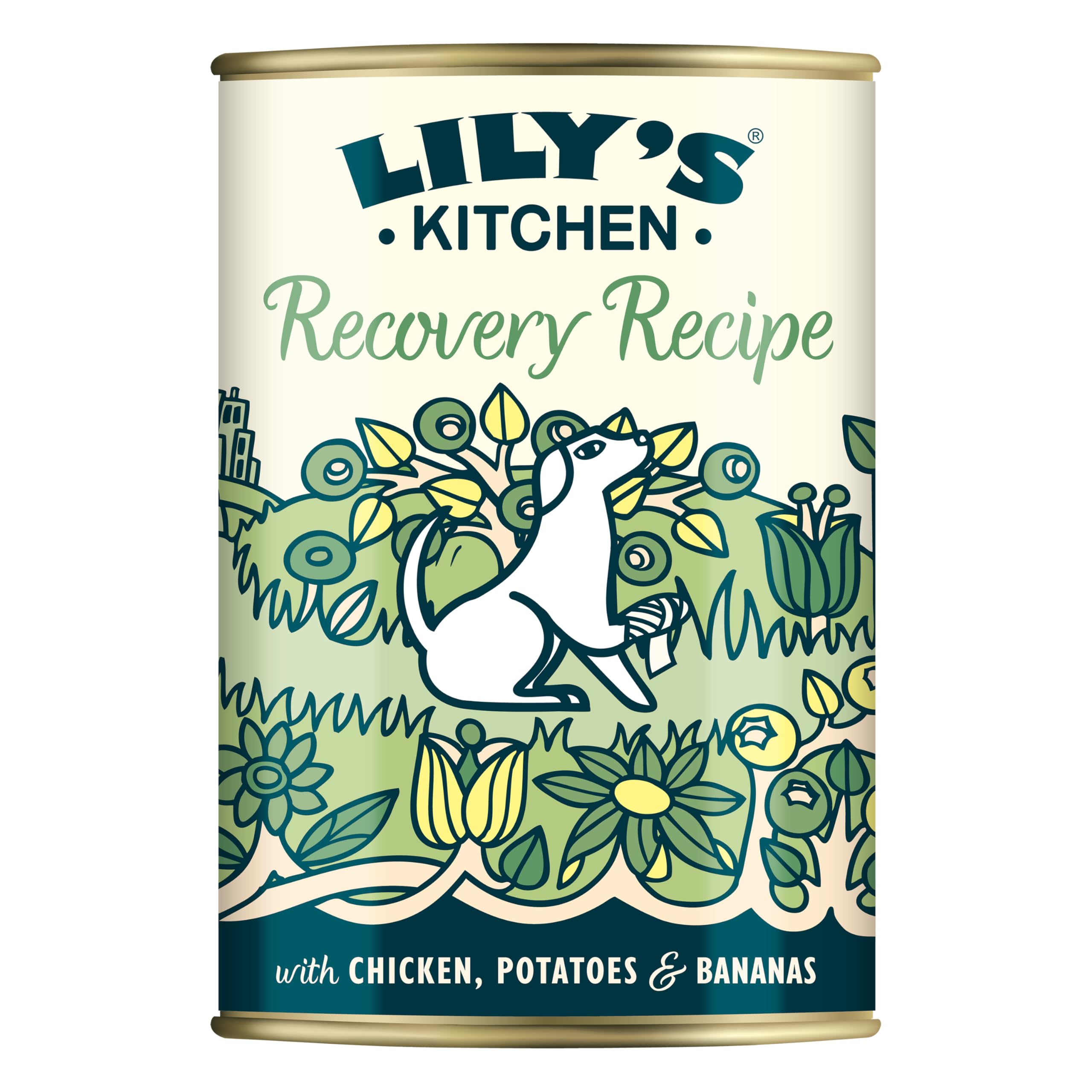 Lily's Kitchen Recovery Recipe - Complete Adult Wet Dog Food (6 x 400g)