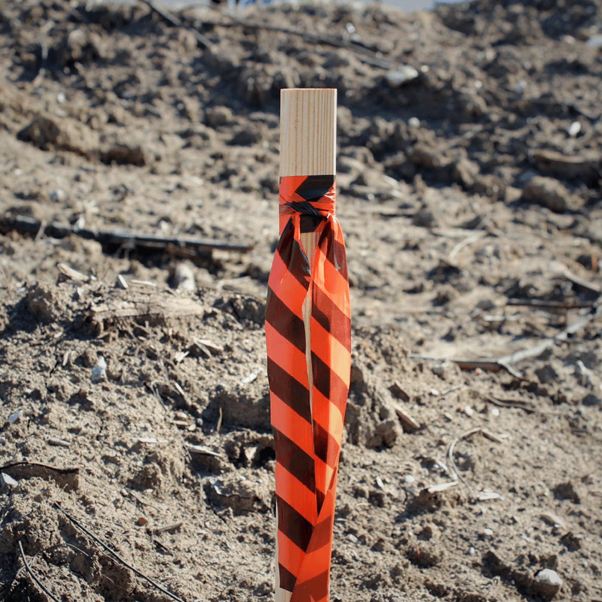 Presco Stripe Cinta de bandera con rollo estampado: 1-3/16 in. x 300 ft. (Rayas blancas y verdes)