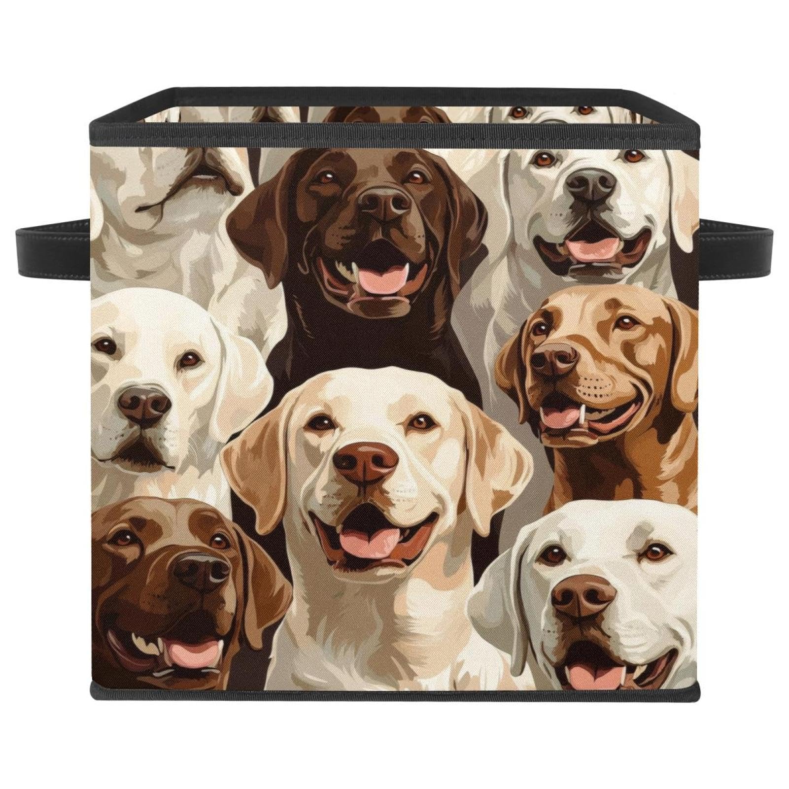 Organisateur labrador contre le désordre grand cube pliable pour vêtements