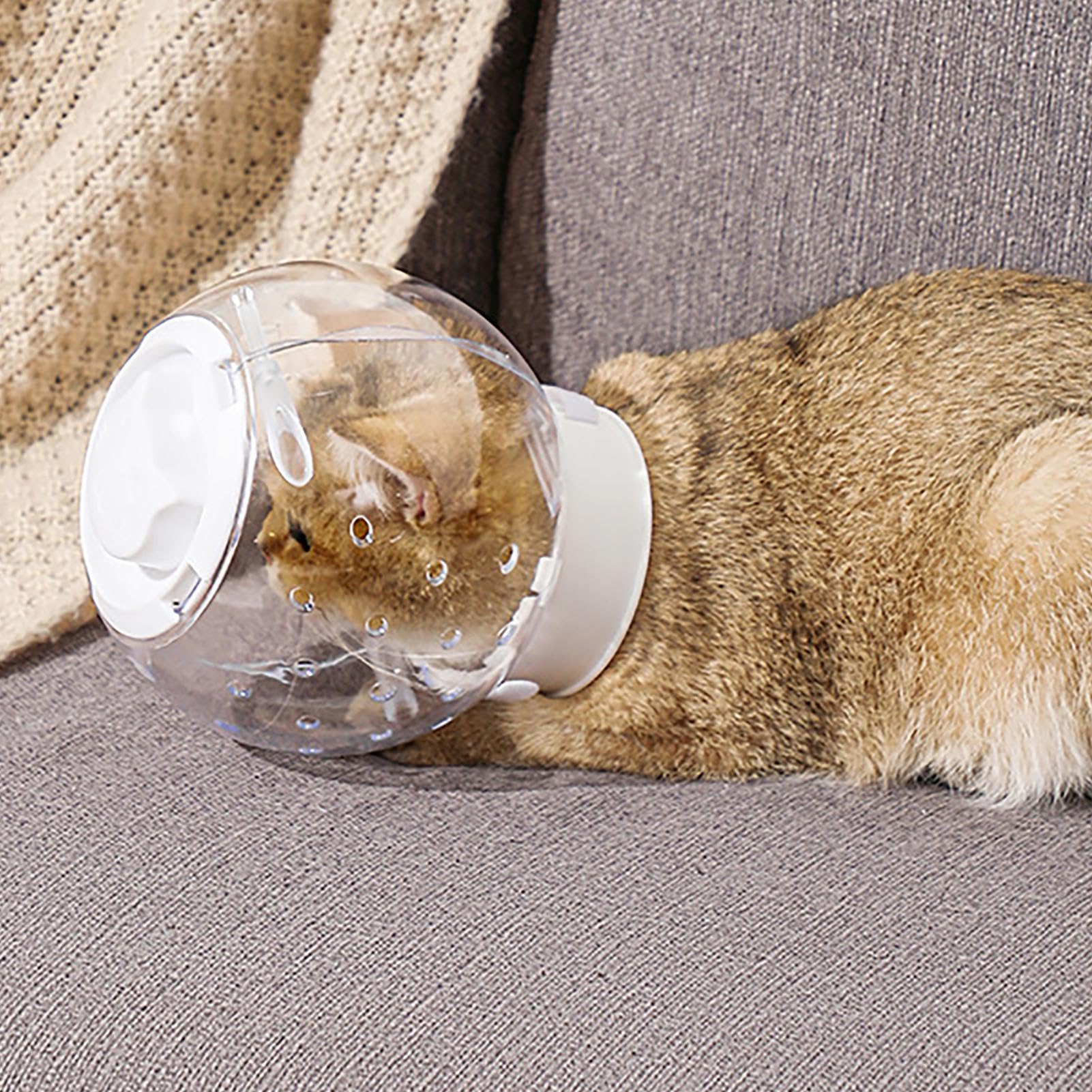 Muso Per Gatto Trasparente - Casco Antileccamento E Antimorso Con Fori Traspiranti - Foto 8