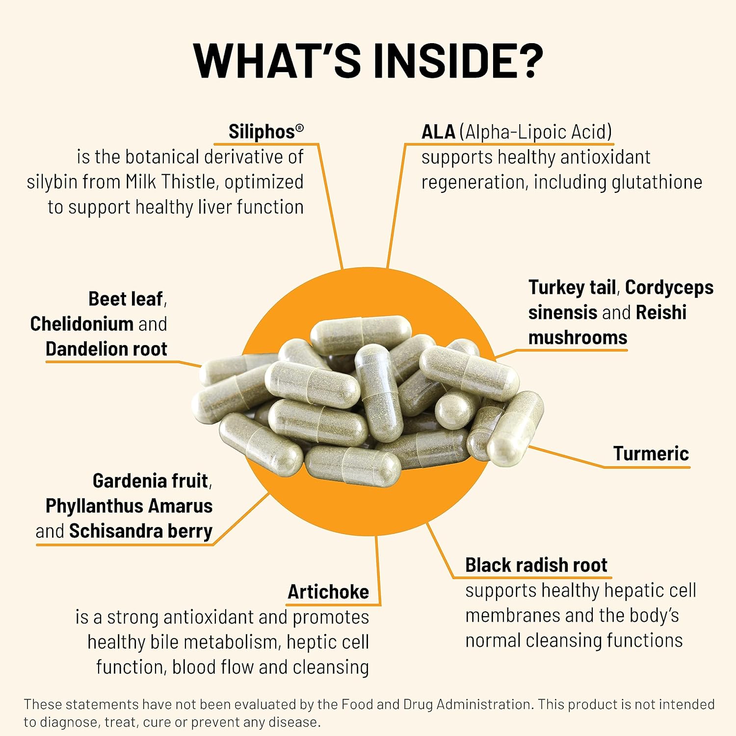 Mountain Peak Nutritionals Liver C - Liver Support & Detox Supplement - w/Milk Thistle (Siliphos®), Turmeric, and Mushroom Blend - Promotes Healthy Liver Function & Energy (90 Vegetarian Capsules) - Image 3