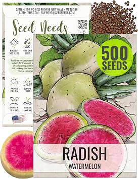 Seed Needs Radish Seeds for Planting Watermelon Radishes - Non-GMO Heirloom & Untreated - Grow a Home Grown Vegetable Garden - Cool Weather Crops 1 Pack