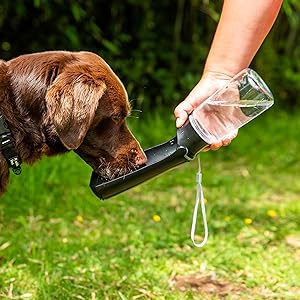 Mountain Paws Folding Dog Water Bottle, 550ml, BPA-Free For Dogs | Ideal For Long Walks Away From Home