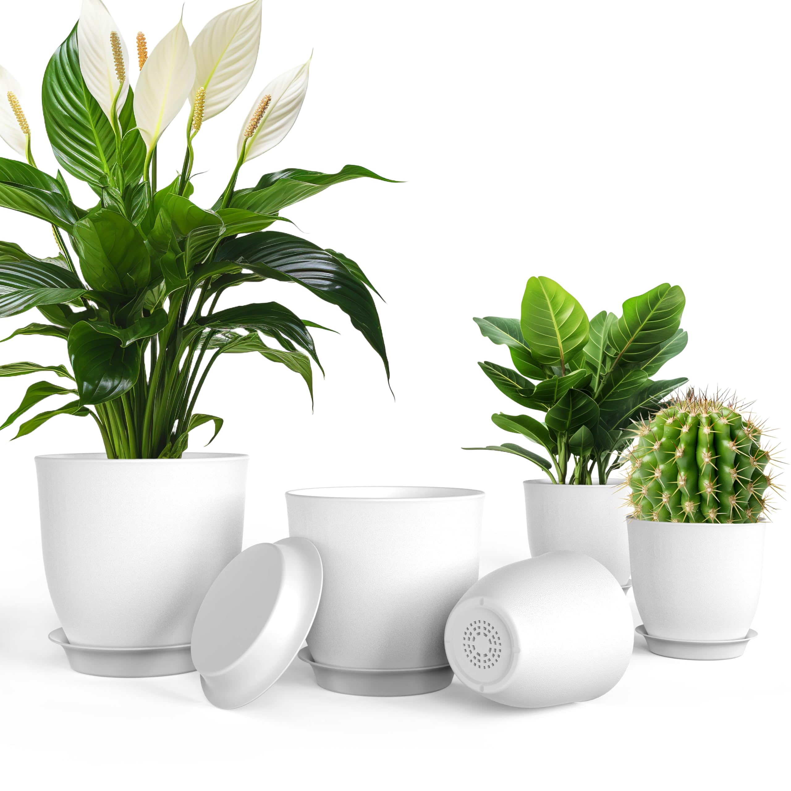 Pots de fleurs en plastique blanc iPower pour plantes grasses et cactus