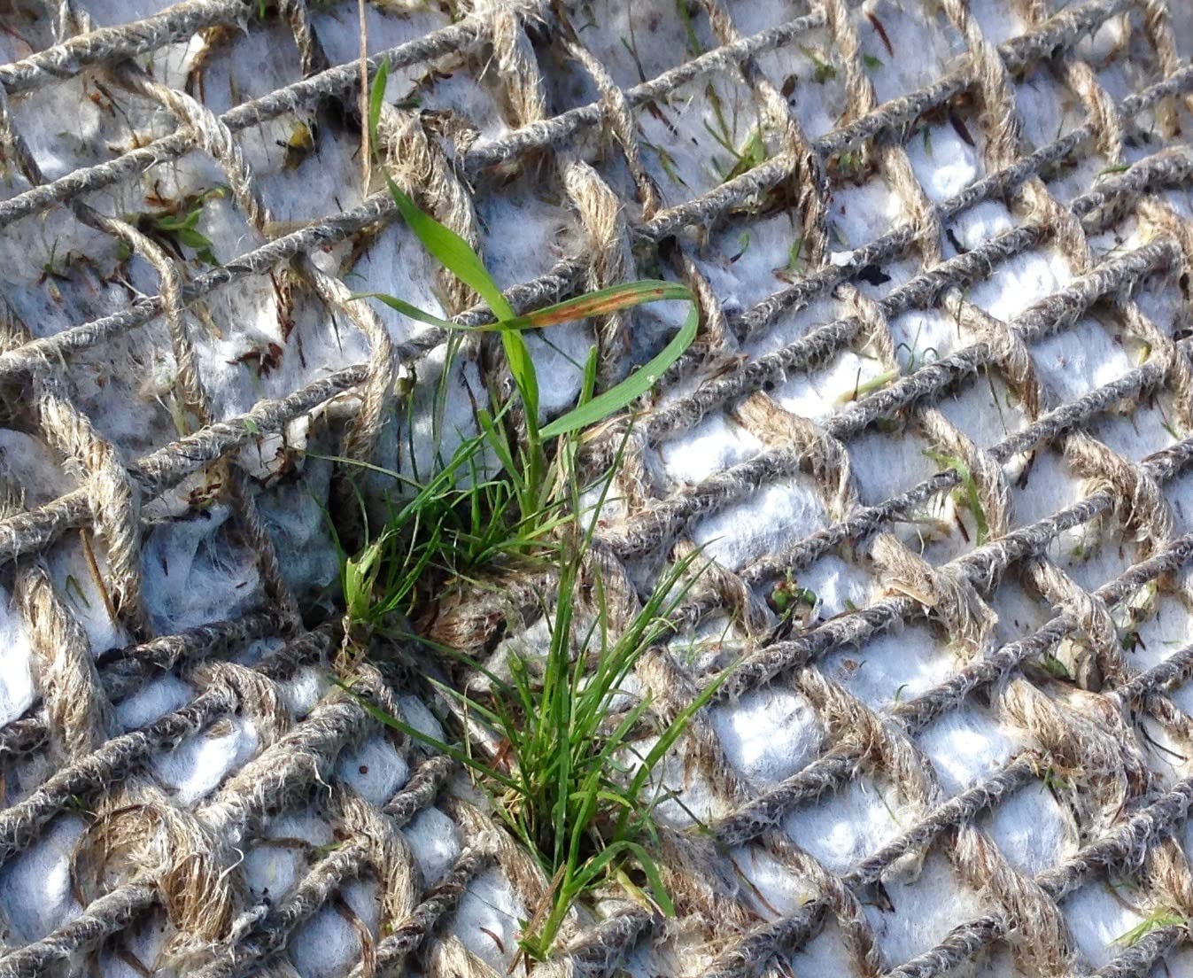Greentex - Geotextil 24 m² | Hang- & Böschungsmatte mit Begrünung | Erosionsschutz an Böschungen | Einfach zu Verlegen | Langzeitdüngung durch Schafwolle | 1,2 m x 20 m | 100% Biologisch Abbaubar