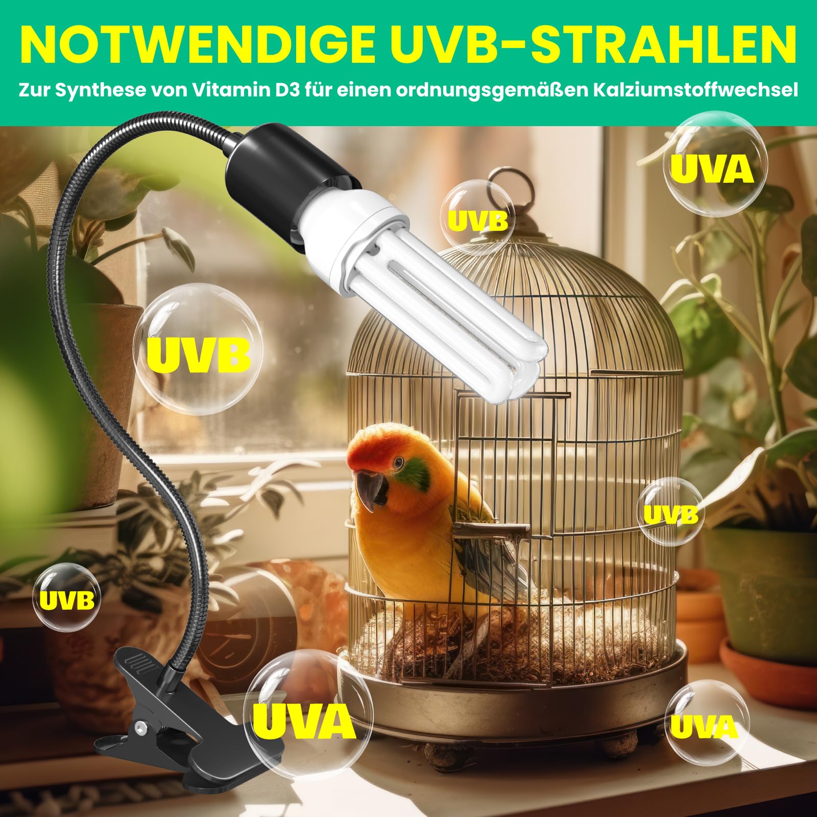 GlowUp UVB 2.4 Vogellampe mit Zeitschaltuhr, Klemmlampe mit 20W UVB 2.4 Glühbirne E27 UVB Licht Kombi Set für Vogel mit Timer