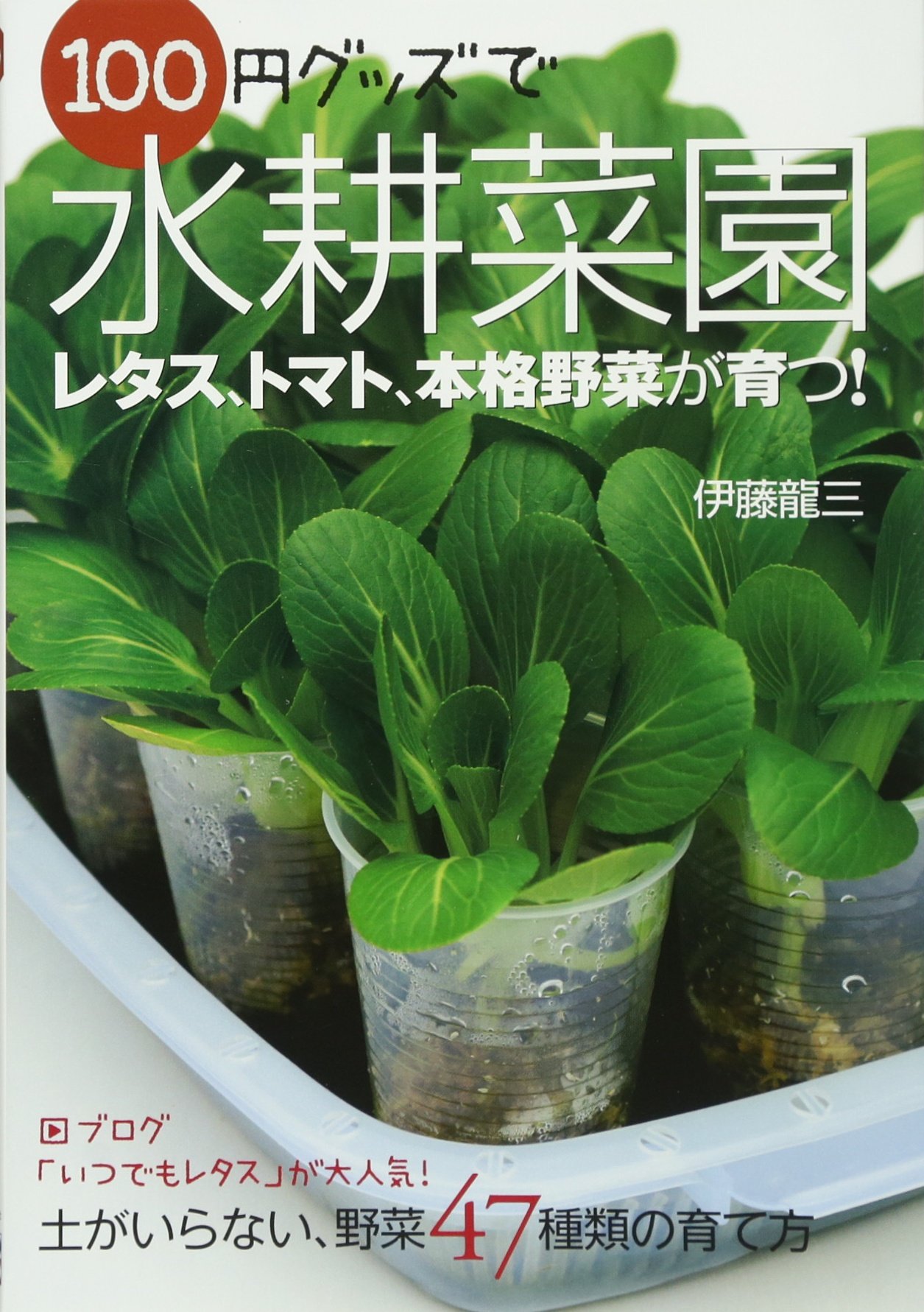 100円グッズで水耕菜園 伊藤 龍三 本 通販 Amazon