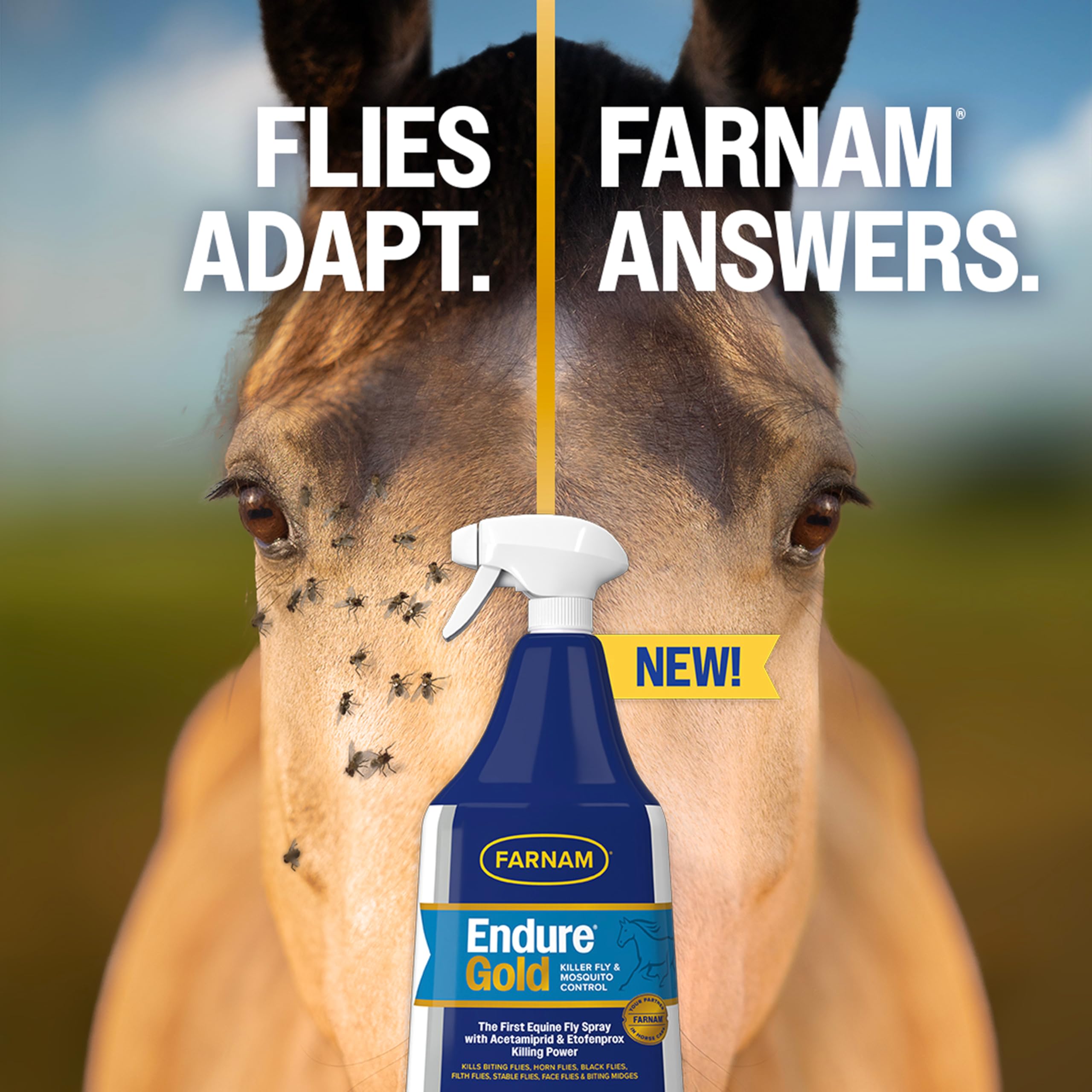 Farnam Endure Gold Killer Fly Spray for Horses, Powered by Acetamiprid & Etofenprox, Kills Biting Flies Fast and Protects Up to 14 Days, 32 oz - image 7