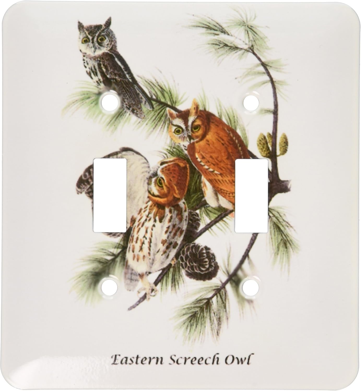 3dRose LLC lsp_114062_2 Eastern Screech Owl By John James Audubon Double Toggle Switch