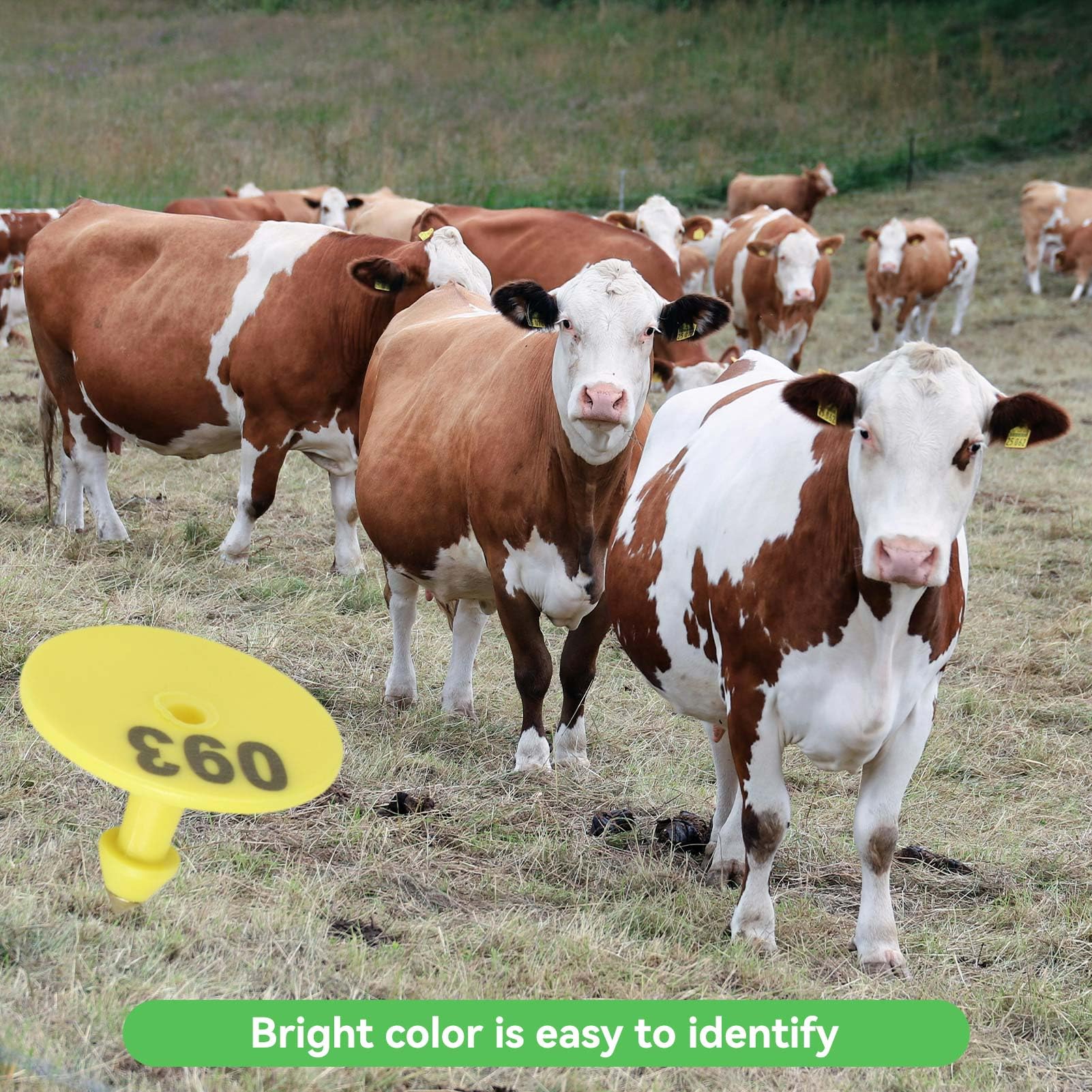 Boucles D'oreilles Numérotées Pour Bétail - Lot De 100 étiquettes (001 à 100) Avec Applicateur Pour Bovins, Moutons, Chèvres