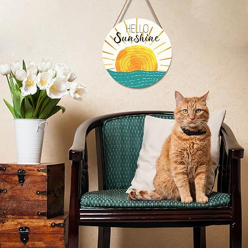 Miniatura 219 de Cartel divertido de No Soliciting para casa de 12 x 12 pulgadas, letreros de madera para puerta delantera, rústico, no solicitar, decoración Sin