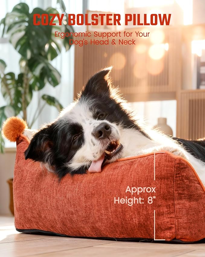 Cama Ortopédica para Perro Grande 43x32 Pulgadas Lavable miniatura 3