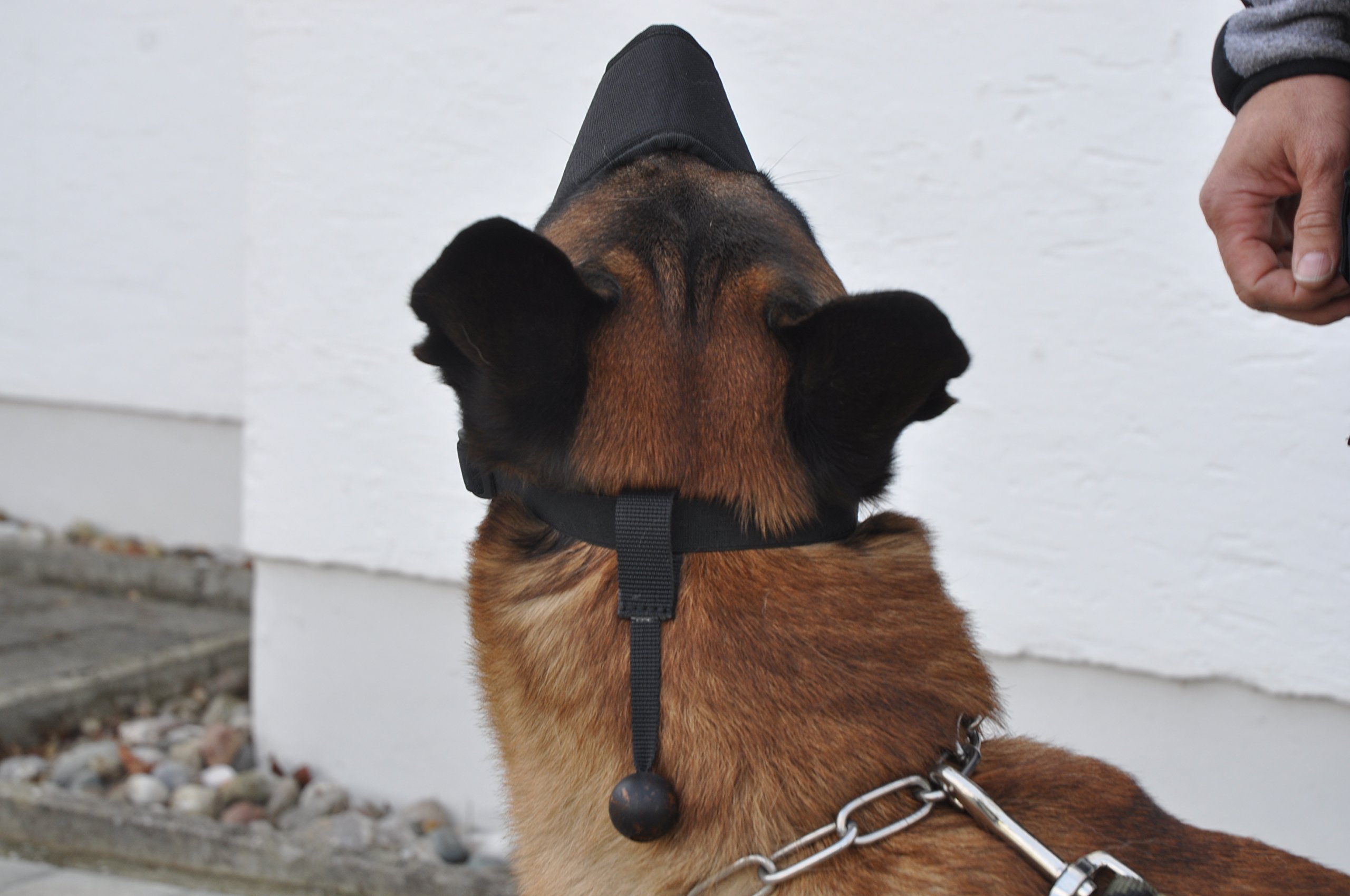 COP® K9 Beisskorb Quick Release (schnell abnehmbar), Cordura® / schwarz, Gr. L